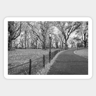 Walking Path Central Park BW Sticker